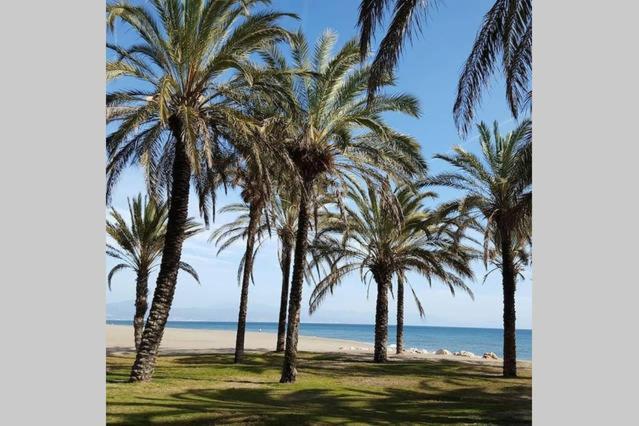 Apartamento Minerva Jupiter. The Perfect Accommodation For Your Vacation 贝纳尔马德纳 外观 照片